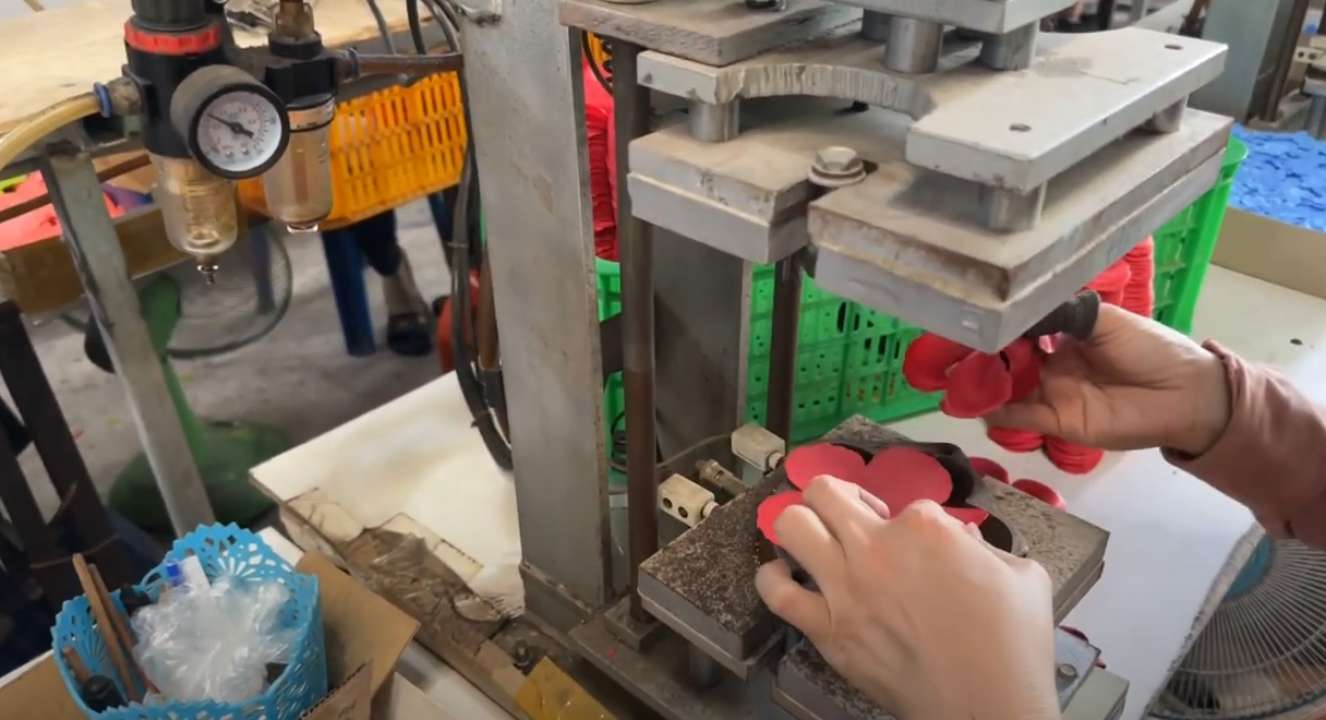 hoanhashi hoa sap la gi 1