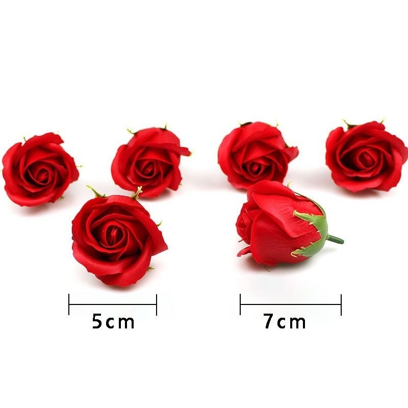 hoanhashi.com hoa sap la gi