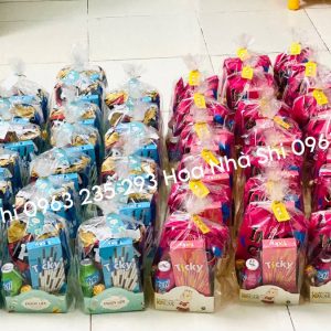 hoanhashi.com tui banh keo sinh nhat 258 3