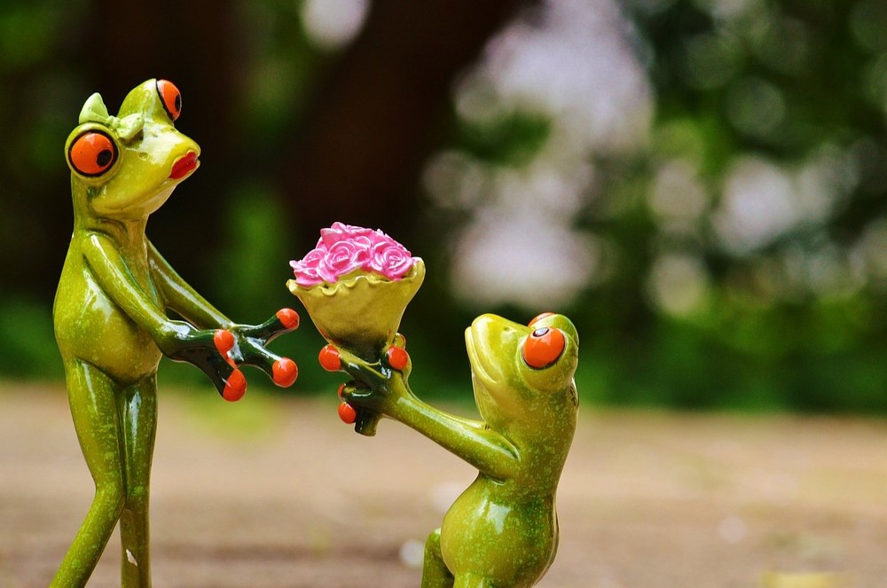 hoanhashi.com hoa tang nguoi yeu